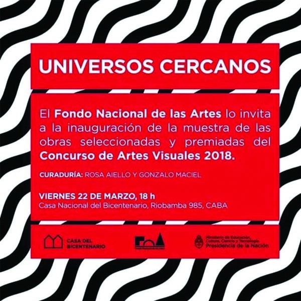 Karina Peisajovich seleccionada en el Concurso de Artes Visuales 2018