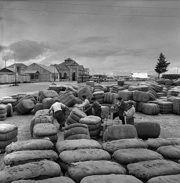 BIENAL SUR: RECONSTRUIR MEMORIA. CAPÍTULO 1