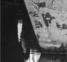 Vasari en AIPAD PHOTOGRAPHY SHOW NY