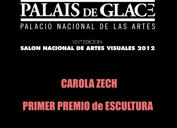 Carola Zech en el SALON NACIONAL DE ARTES VISUALES 2012