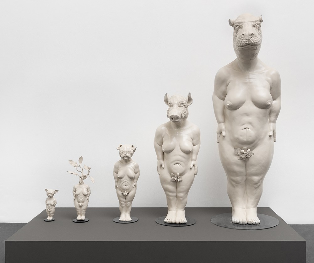 La belleza de la proporción aurea en organismos acondroplásicos altura