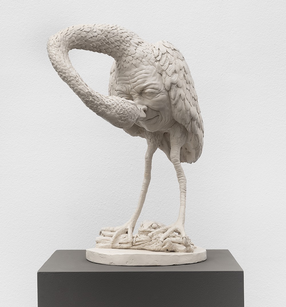 El ave del autoconocimiento