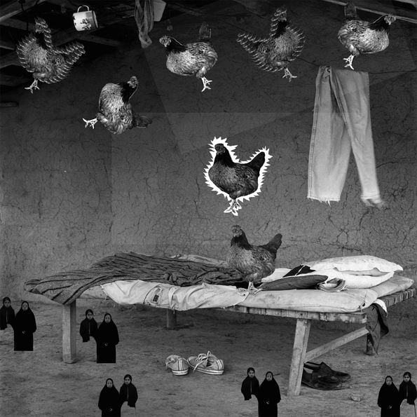 Gallinas voladoras por sobre los catres 