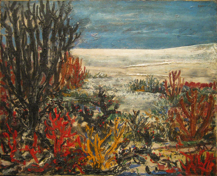 Paisaje de las salinas