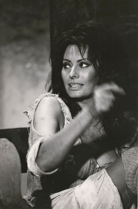 Sophia Loren