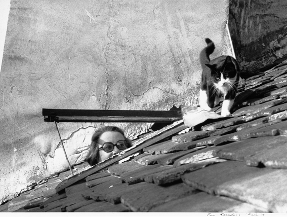 María Herminia Avellaneda y gato, techos