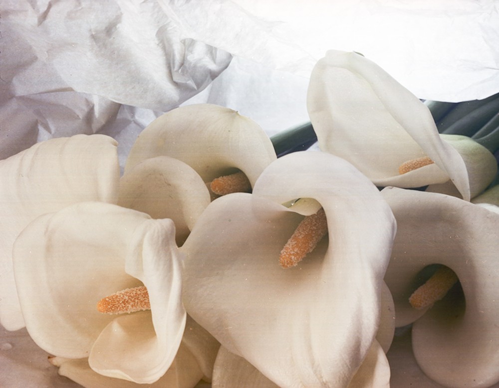 Sin título