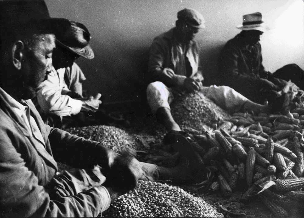 La isla de los resucitados. Leprosario, Isla Cerrito