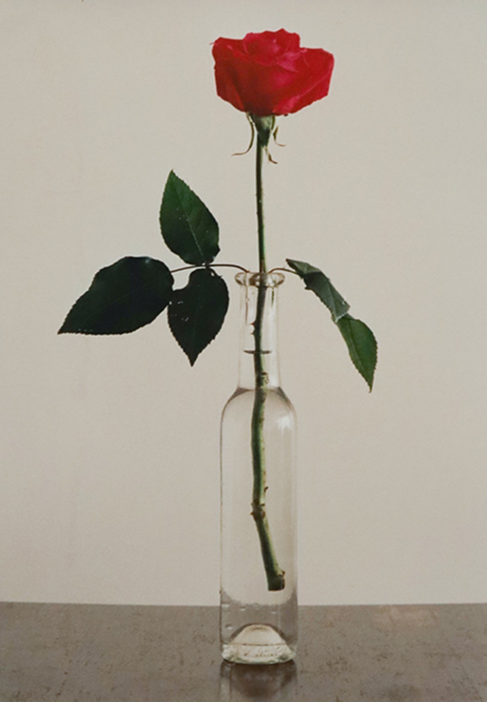 La flor roja